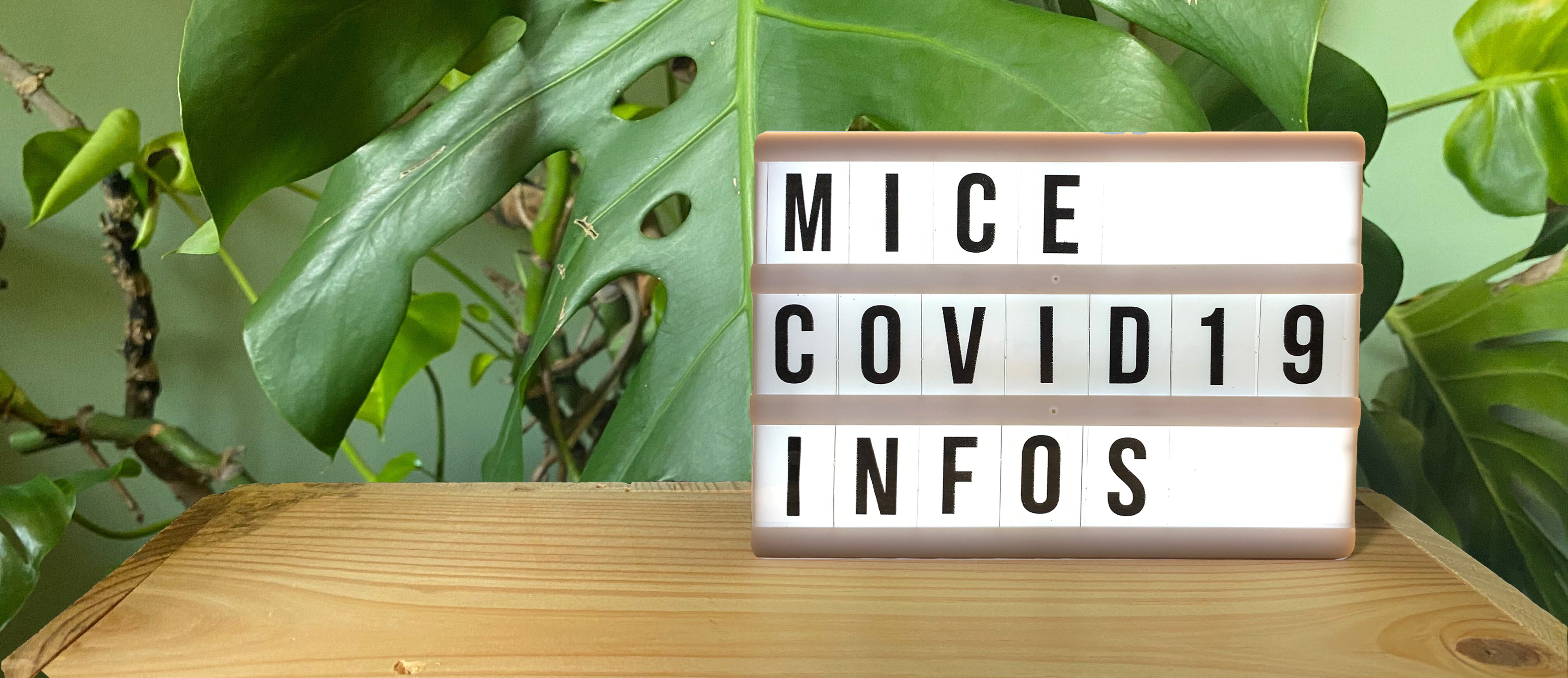 MICE COVID Infos_ MICE COVID Infos_